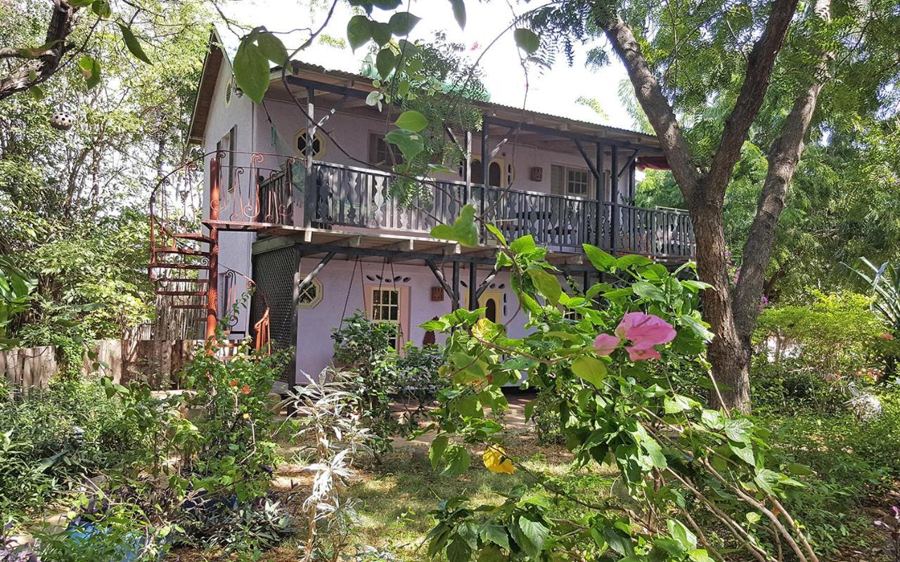 טרזר ביץ' Jakes Hotel מראה חיצוני תמונה